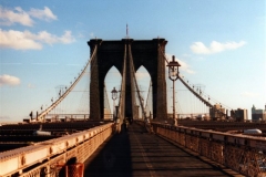 NY001